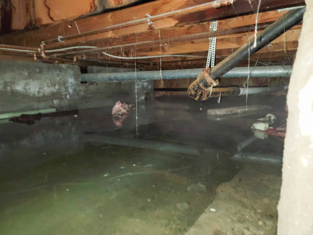 Best Commercial water damage restoration  in Newport East, RI