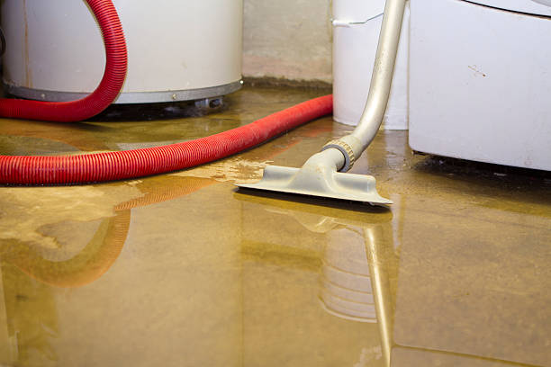 Best Water damage cleanup near me  in Newport East, RI