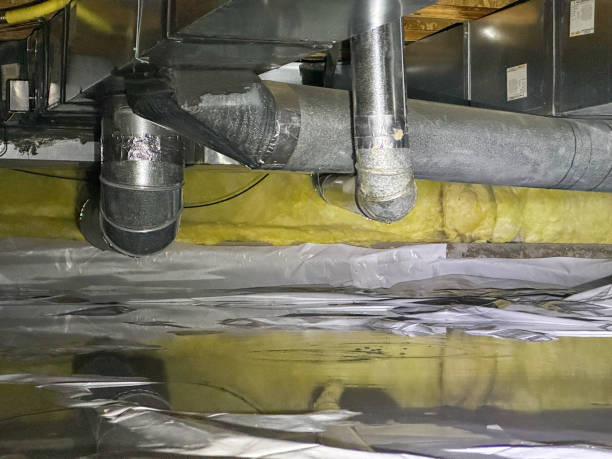 Best Sewage cleanup and water damage restoration  in Newport East, RI
