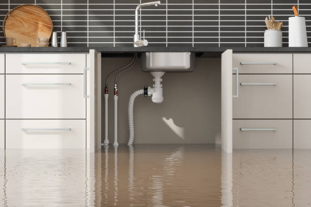 Best 24-hour water damage restoration  in Newport East, RI