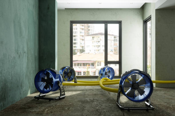 Best Professional water damage repair  in Newport East, RI